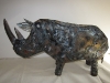 rhino 1