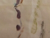 livre 1 -détail