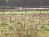 Creuse campagne
