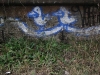 Duo