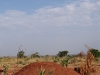 Bobo Dioulasso (2)