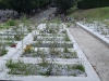 Montreuil (2)