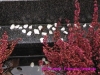 Paris_Charonne (2)